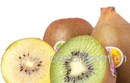 奇异果金果和绿果的区别-0