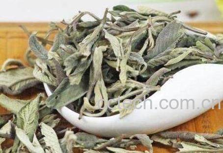 番石榴叶茶的作用与副作用-0