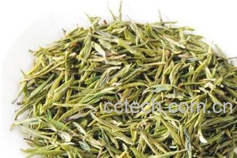 金溪黄茶的功效与作用-0