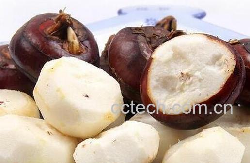 荸荠怎么吃-0