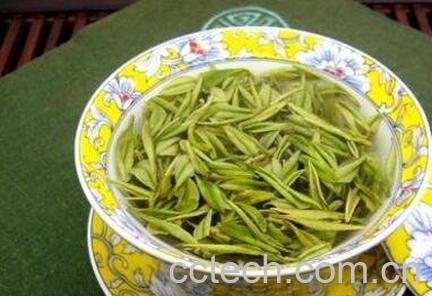 金溪黄茶的功效与作用-1