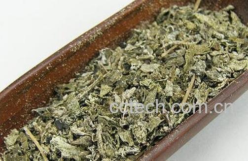 溪黄茶的副作用与食用禁忌-0