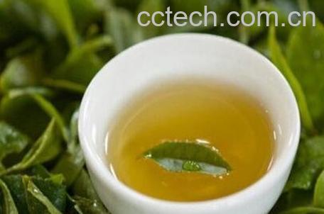 溪黄茶的副作用与食用禁忌-1
