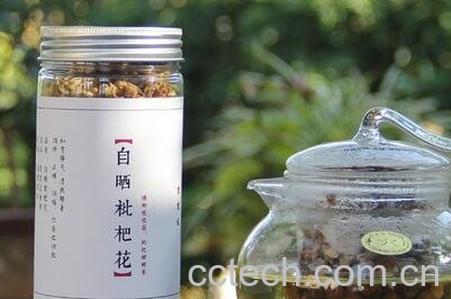 枇杷茶的功效与作用-0