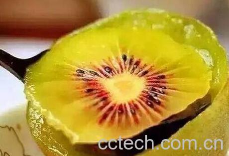 奇异果黄心和绿心的区别-0
