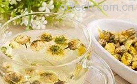 菊花茶跟什么相克-1