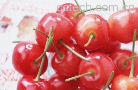 樱桃没熟怎么催熟-0