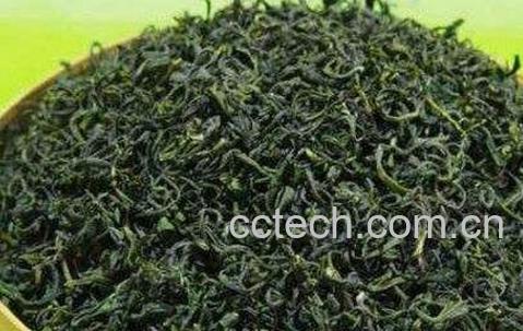 毛峰茶有什么药用价值-0