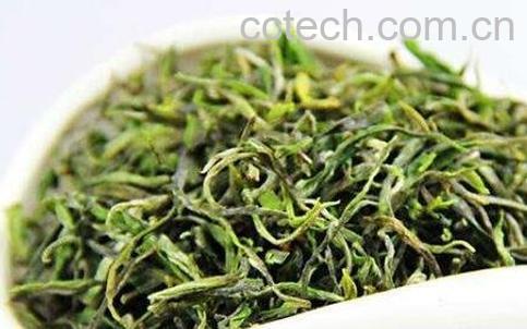 毛峰茶有什么药用价值-1
