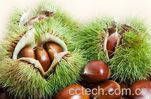 吃板栗有什么好处 吃板栗的好处有哪些-0