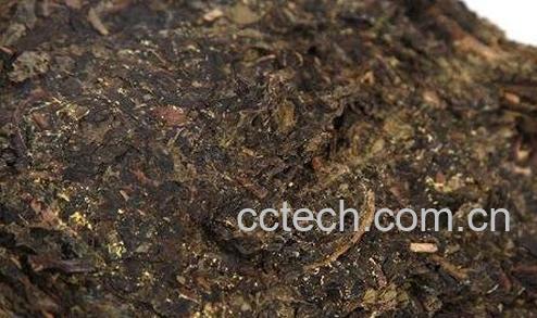  黑茶金花的功效与作用-0