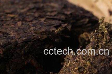  黑茶金花的功效与作用-1