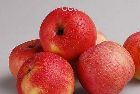 每天吃苹果有什么好处-0