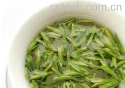 竹叶青的功效与作用及冲泡方法-1