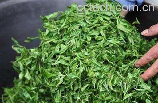 自己在家怎么炒茶叶-0