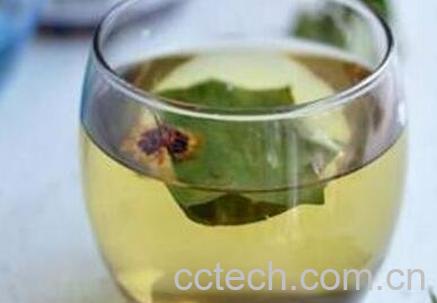 冬瓜荷叶茶的副作用 冬瓜荷叶茶能瘦身吗-1