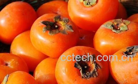 吃柿子有什么好处和坏处-0