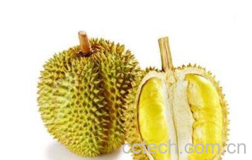 榴莲怎么催熟开口-0