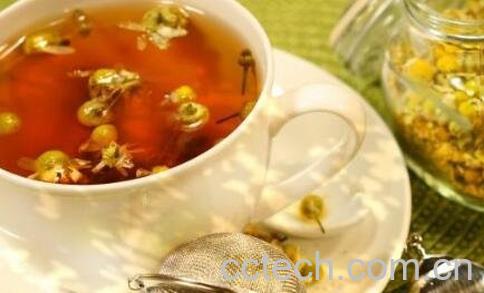 野菊花茶的功效与作用及禁忌-1