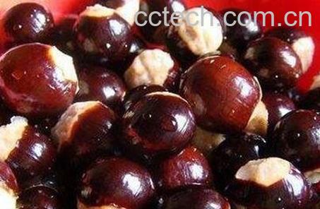 龙眼核药用价值-0