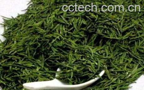 中国十大绿茶排名-0