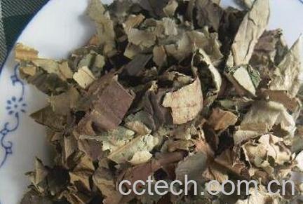 自制荷叶冬瓜减肥茶方法-0