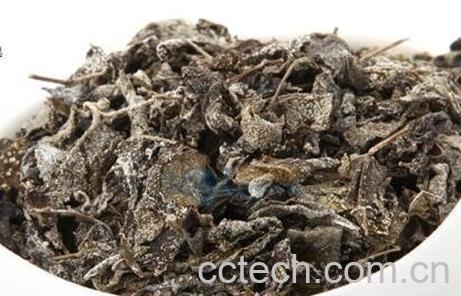 藤茶如何喝 藤茶的泡法-1