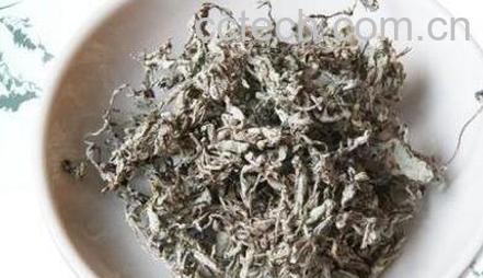 藤茶如何喝 藤茶的泡法-0