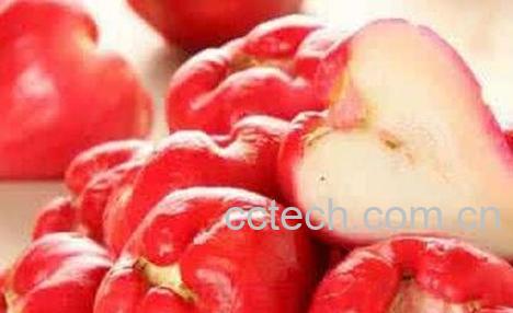 莲雾怎么吃 莲雾的吃法技巧-0