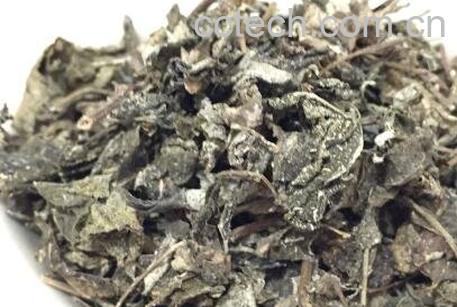 莓茶的功效与作用-1