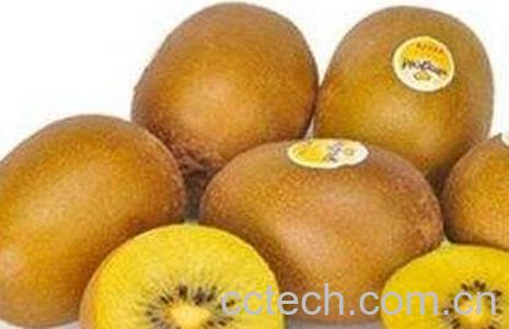 奇异果和白糖得功效与作用-0