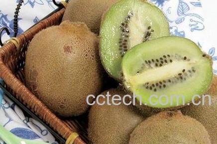 奇异果快速熟透的方法-0