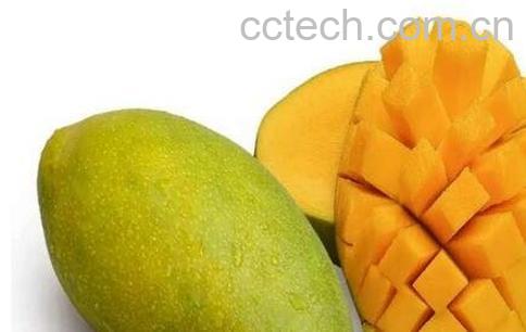 芒果怎么吃 芒果的吃法技巧-0