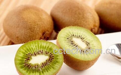 奇异果和猕猴桃的功效与作用及禁忌-0