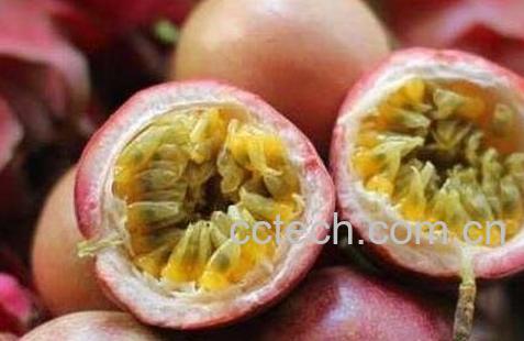 百香果的食用禁忌-0