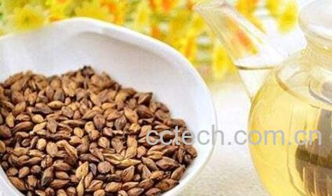 大麦茶的副作用和食用禁忌-0