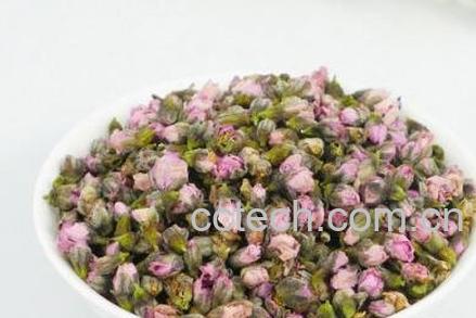 桃花茶的功效与作用及禁忌-1