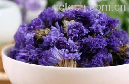 勿忘我花茶的功效与冲泡方法-1