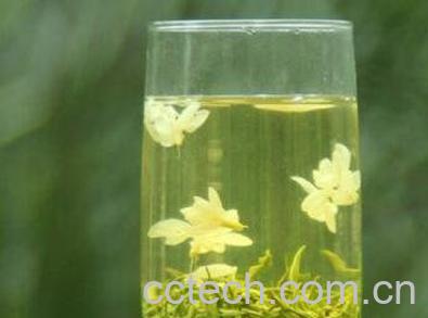 茉莉花茶如何喝 茉莉花茶的泡法-0