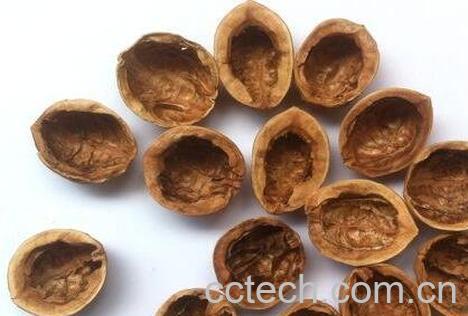 大核桃壳的功效与作用-0