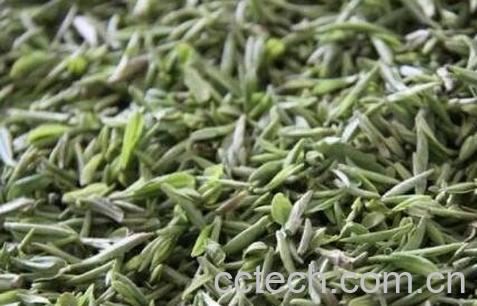 雨花茶的功效与作用-1