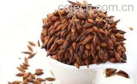 大麦茶的功效与作用 大麦茶的副作用-1