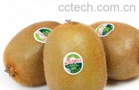 奇异果如何保鲜 -0