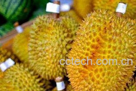 榴莲不能和什么一起吃 -0