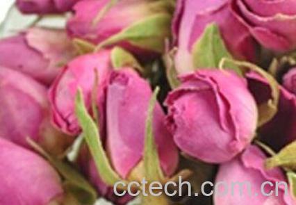 粉玫瑰花茶的泡法-1