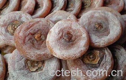 柿饼不能和什么一起吃 -0