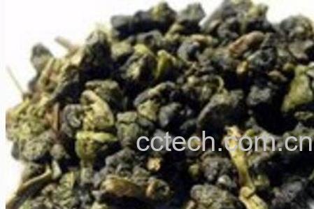 阿里山露珠茶的泡法-0