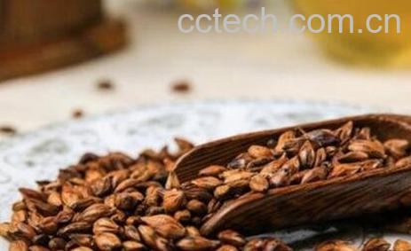 大麦茶的功效与作用及禁忌-0