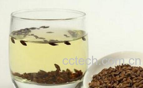 大麦茶的功效与作用及禁忌-1