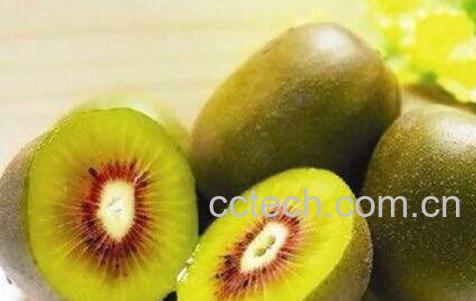 睡觉前吃奇异果的好处和坏处-0